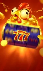 Chicken Coin